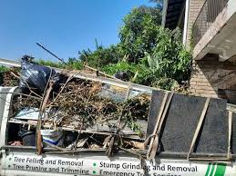 Best Residential Junk Removal  in Fennville, MI